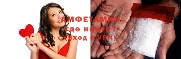 сатива Аркадак