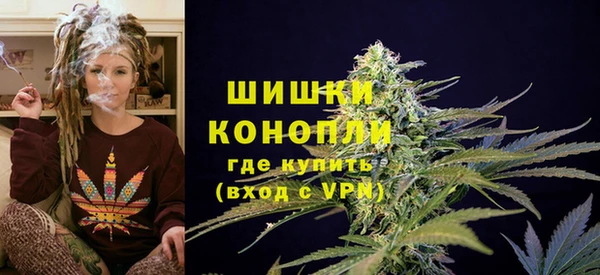 сатива Аркадак
