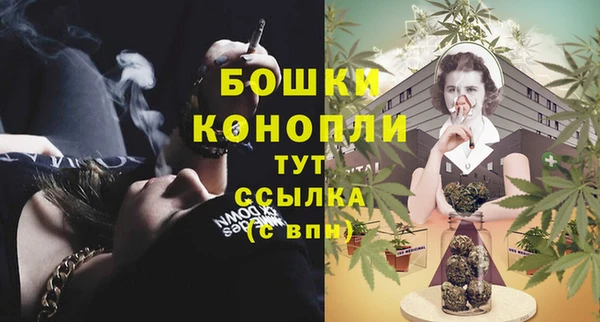 сатива Аркадак